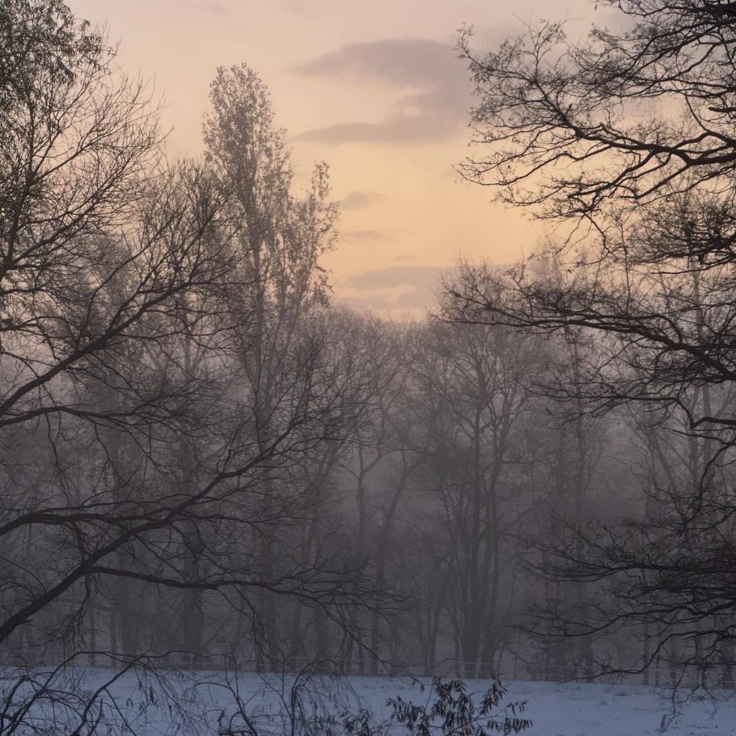 旭川の素晴らしい時間