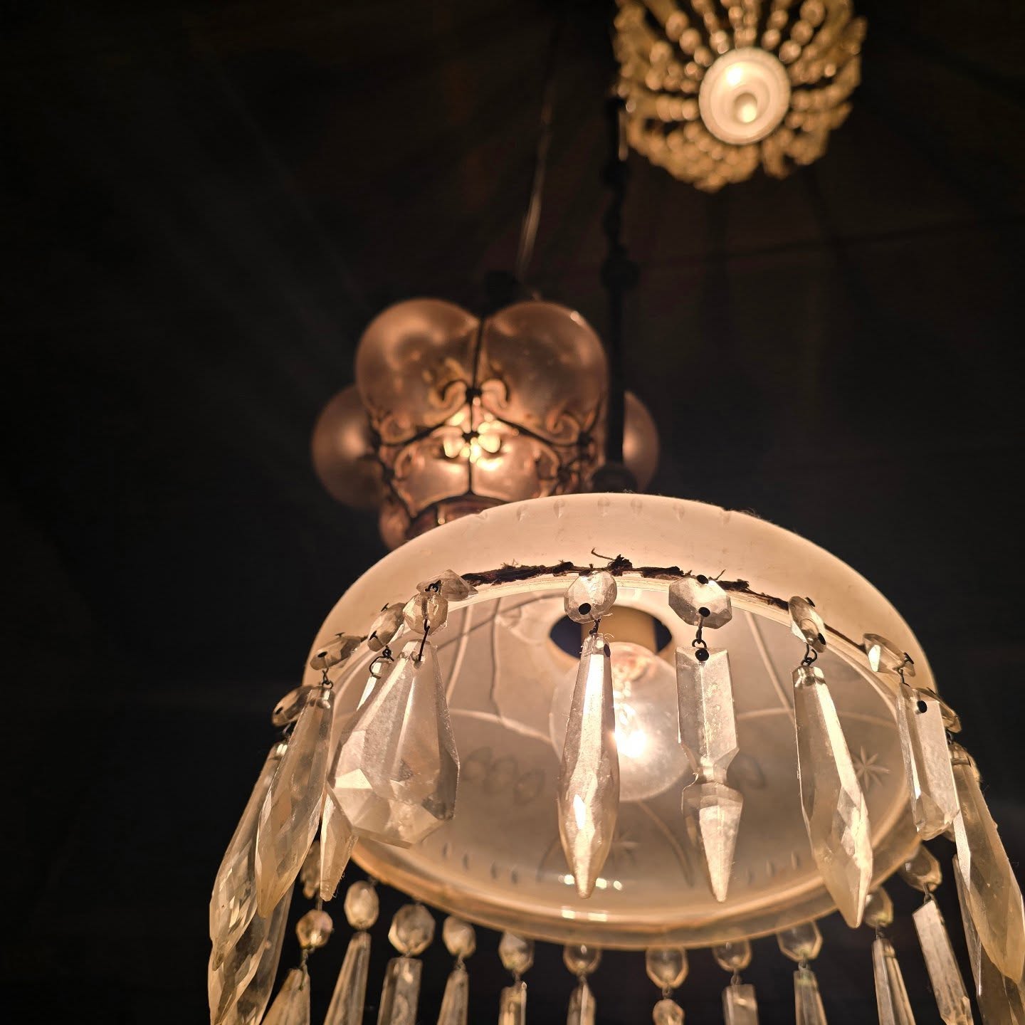 雨の樹素描2026年